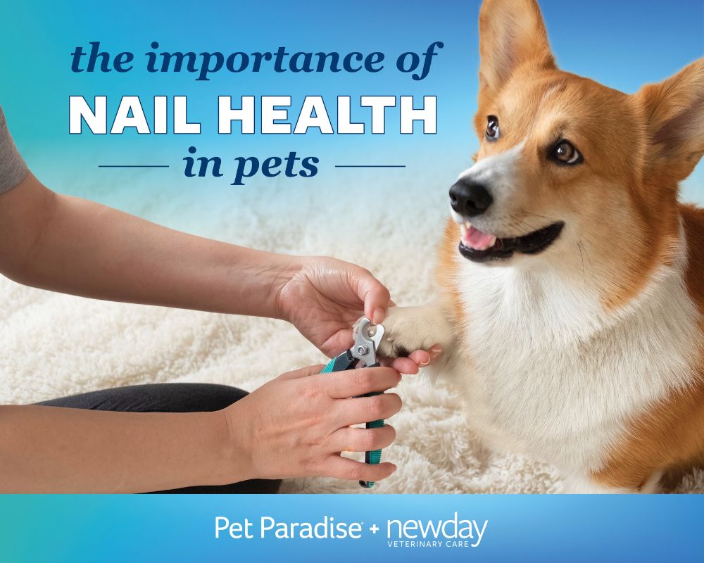 Pet Paradise Nail Trims