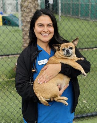 a woman holding a dog