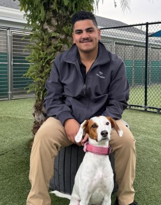 a man sitting on a tire with a dog