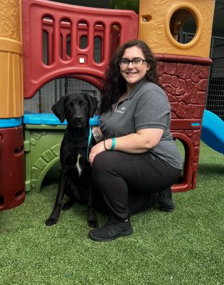 Pet Paradise Charlotte Airport Assistant Manager