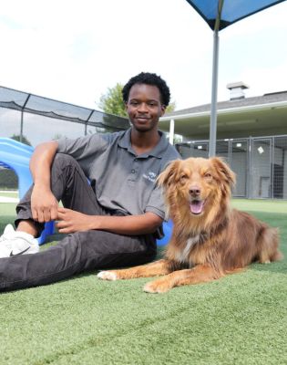 Pet Paradise Charlotte Airport Assistant Manager