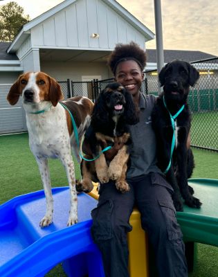 a woman sitting on a slide with dogs