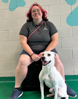 a woman sitting on a chair with a dog