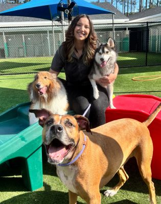 a woman sitting on a bench with dogs