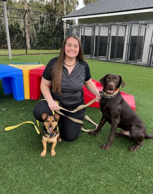 Pet Paradise Gainesville Dog Training