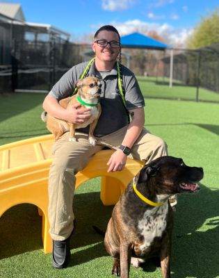 a man sitting on a yellow playground with two dogs