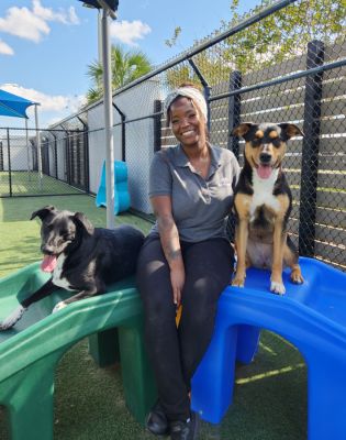 a woman sitting on a slide with two dogs