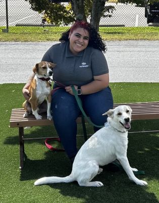 a woman sitting on a bench with two dogs