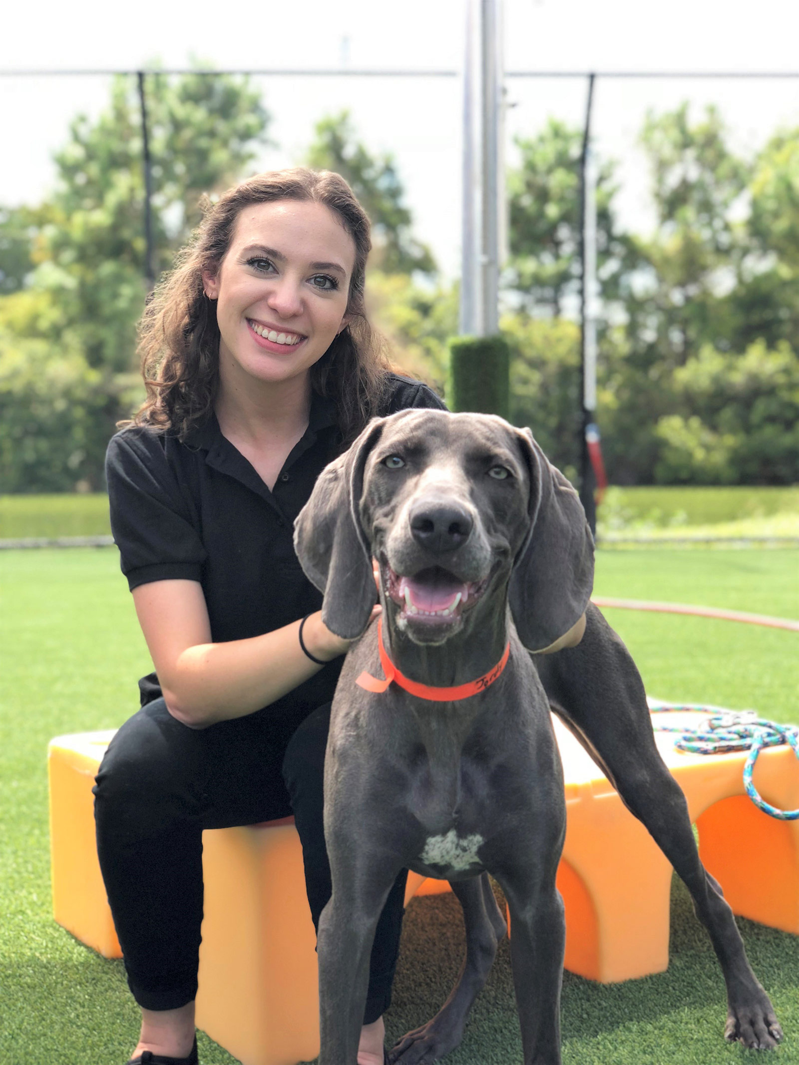 How Much Is Dog Boarding At Pet Paradise